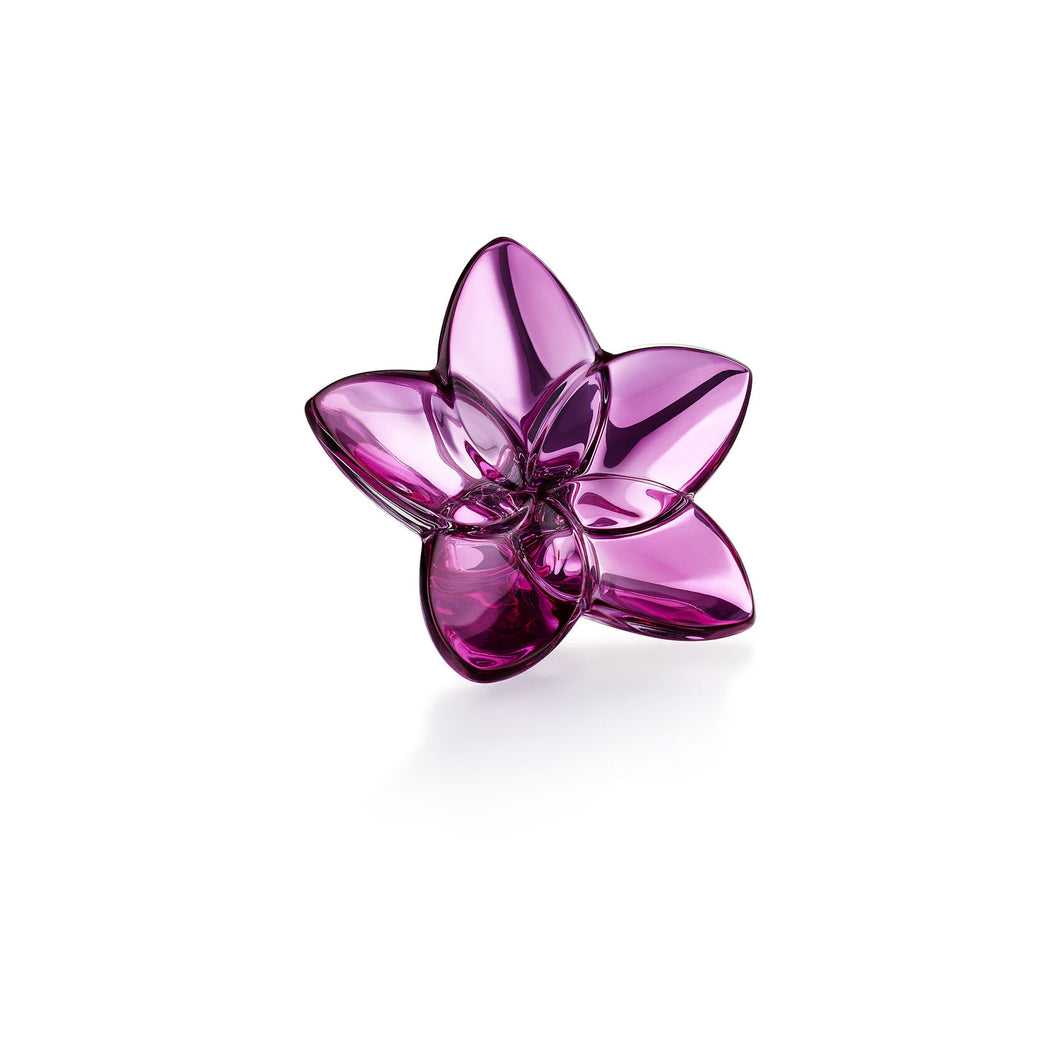 Baccarat Flower The Bloom Collection Assorted Colors