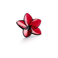 Load image into Gallery viewer, Baccarat Flower The Bloom Collection Assorted Colors
