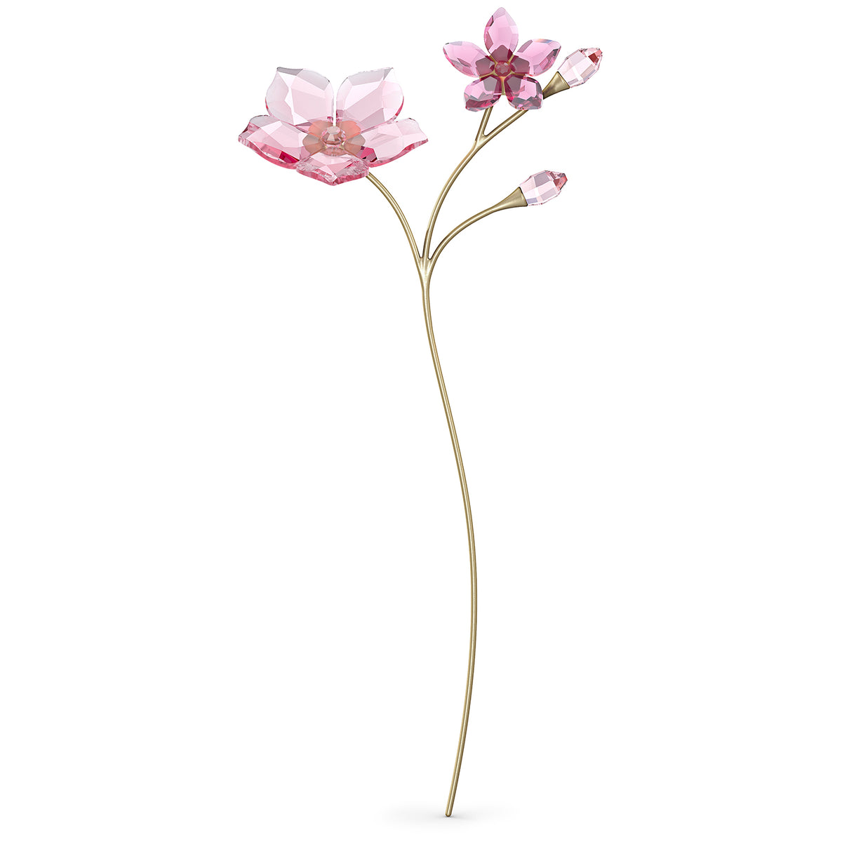 Swarovski Garden Tales Flower Cherry Blossom BNIB 5557797 – BG