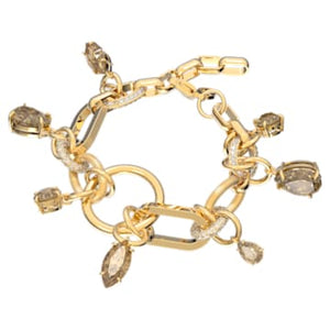 Imber Bracelet, Brown, Gold-tone Plated