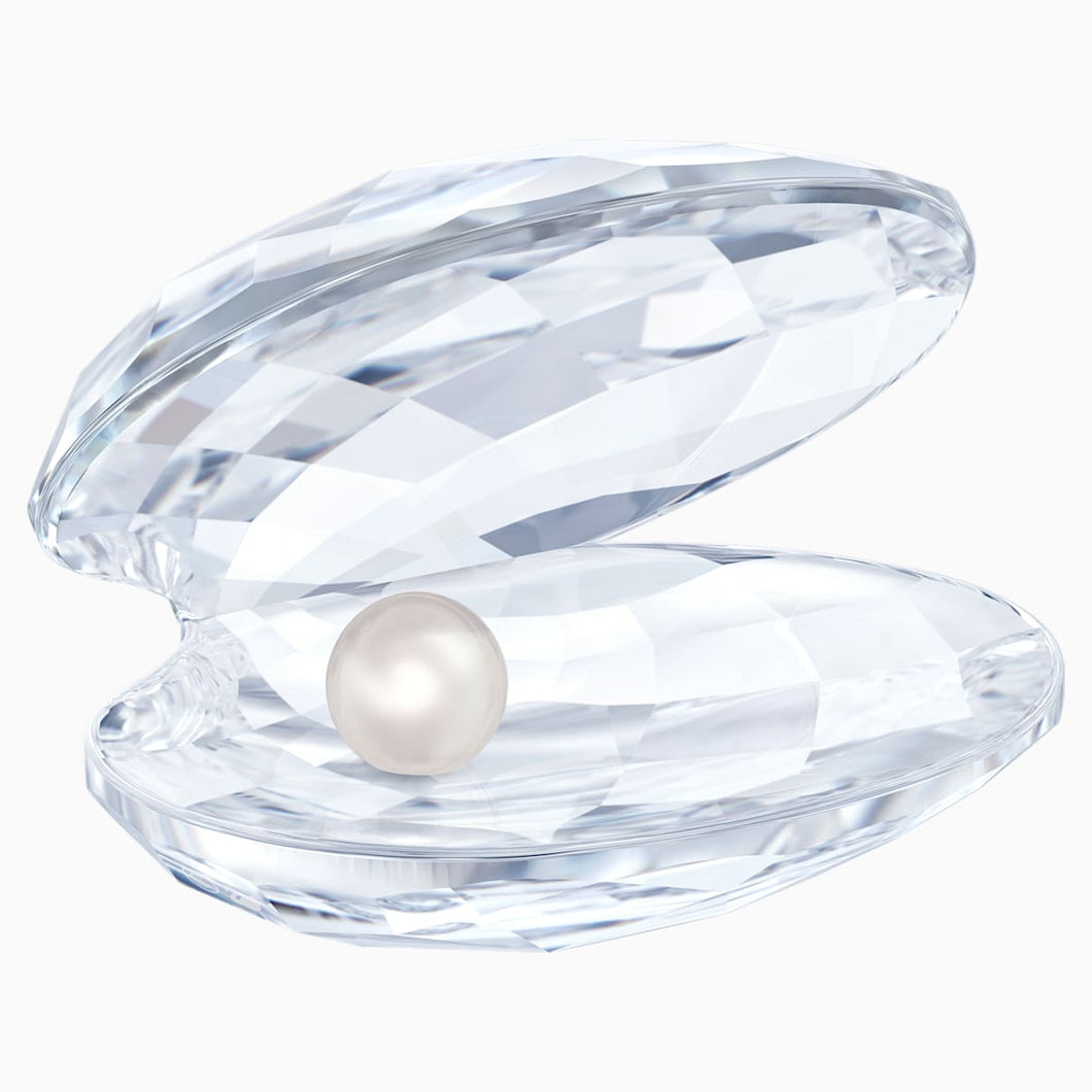 SHELL WITH PEARL, SMALL